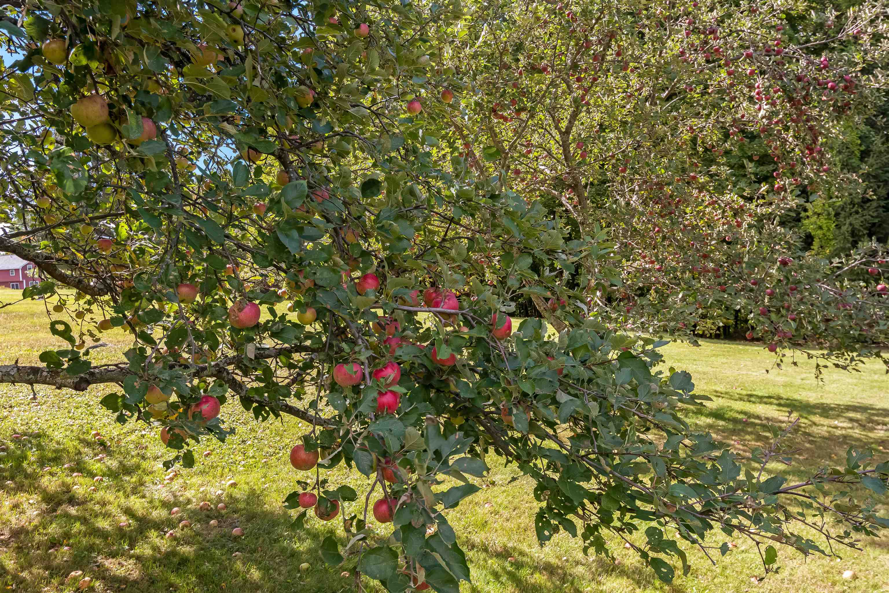 104 Snowcrest Road Fairfax, VT 05454 - Photo 31 of 37 Gallery Image 31