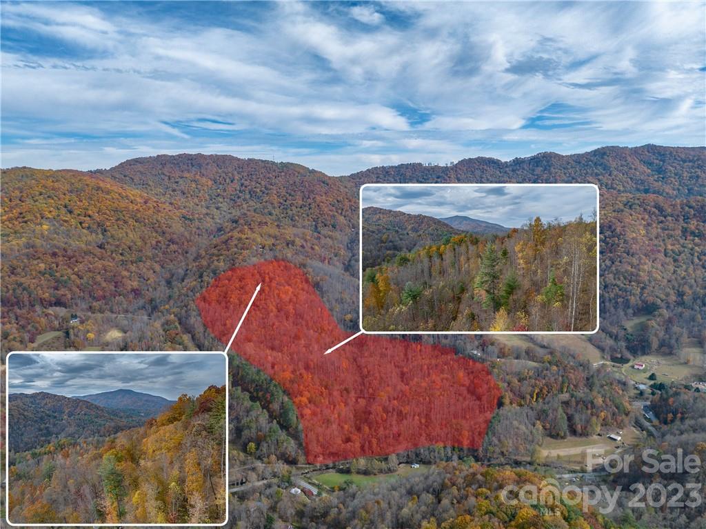 a view of swimming pool with a yard