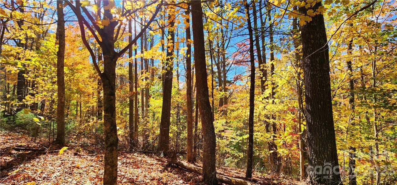 201 Clifford Fowler Road Hot Springs, NC 28743 - Photo 12 of 47 a view of trees and covered with snow