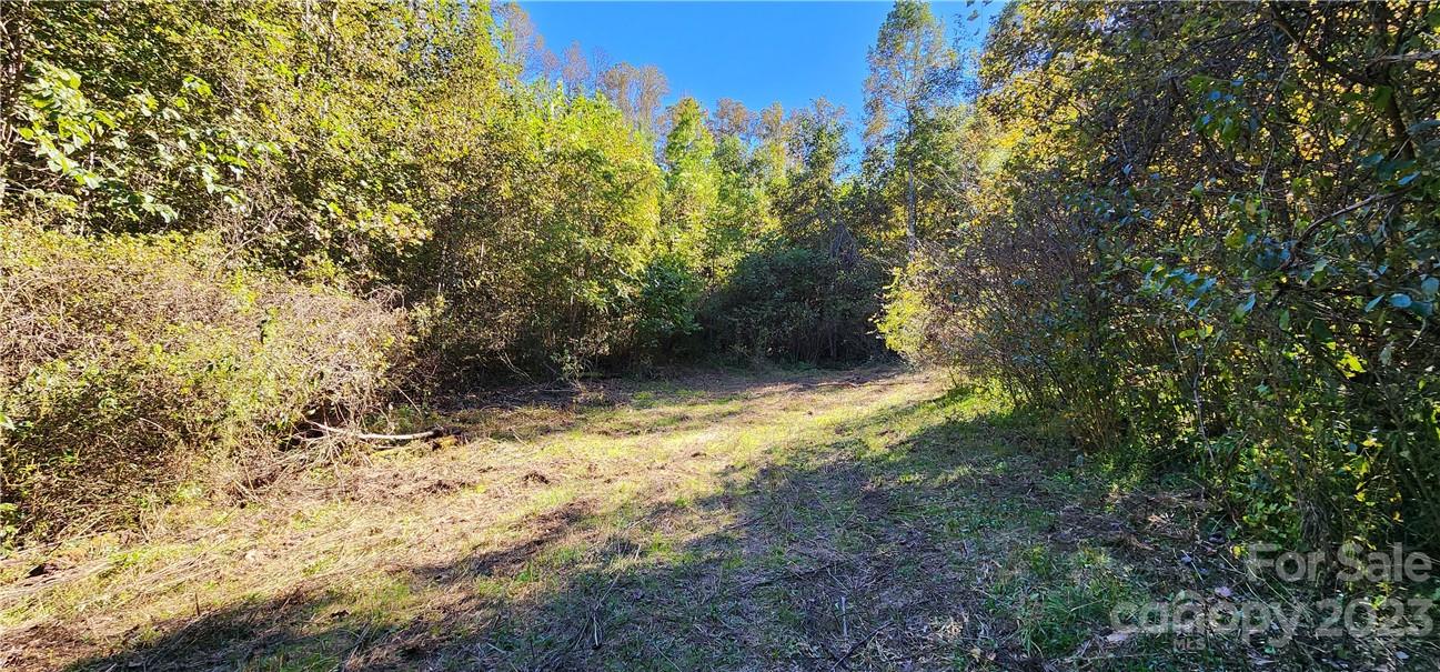 201 Clifford Fowler Road Hot Springs, NC 28743 - Photo 13 of 47 a view of a yard with large trees