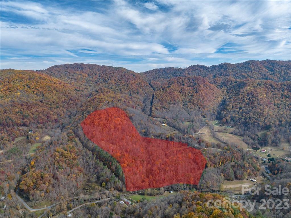 201 Clifford Fowler Road Hot Springs, NC 28743 - Photo 16 of 47 a view of a dry yard with mountain and trees