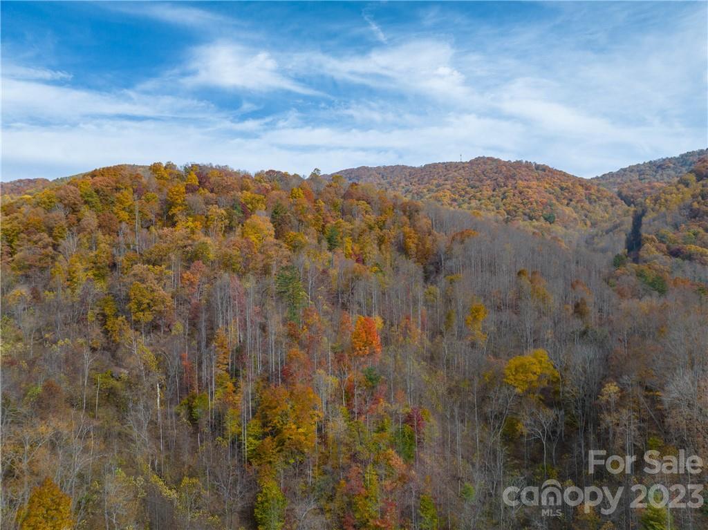 201 Clifford Fowler Road Hot Springs, NC 28743 - Photo 17 of 47 a view of a city with mountains in the background