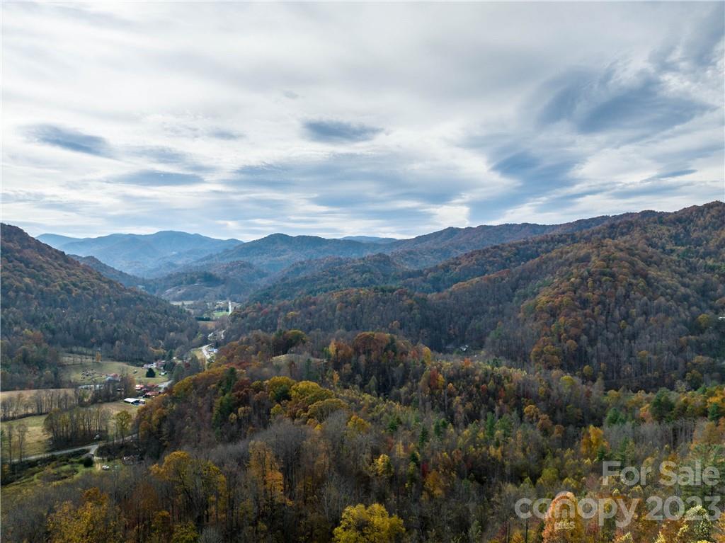 201 Clifford Fowler Road Hot Springs, NC 28743 - Photo 19 of 47