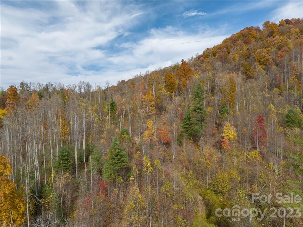 201 Clifford Fowler Road Hot Springs, NC 28743 - Photo 20 of 47 a view of a city with lush green forest