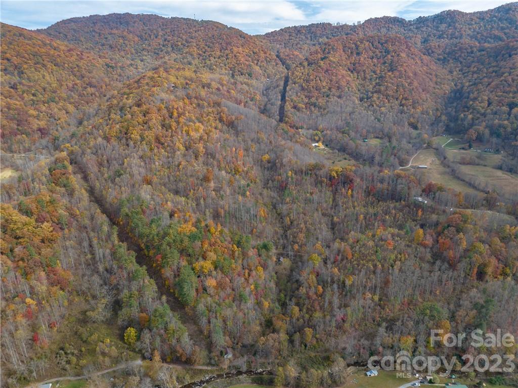 201 Clifford Fowler Road Hot Springs, NC 28743 - Photo 24 of 47 a view of a large mountains with lots of bushes