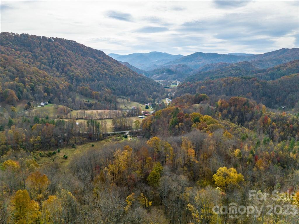 201 Clifford Fowler Road Hot Springs, NC 28743 - Photo 28 of 47 a view of a town with mountains in the background