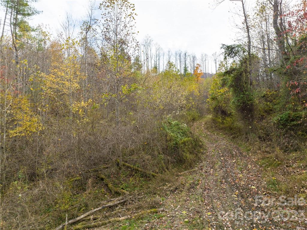 201 Clifford Fowler Road Hot Springs, NC 28743 - Photo 30 of 47 a view of a city