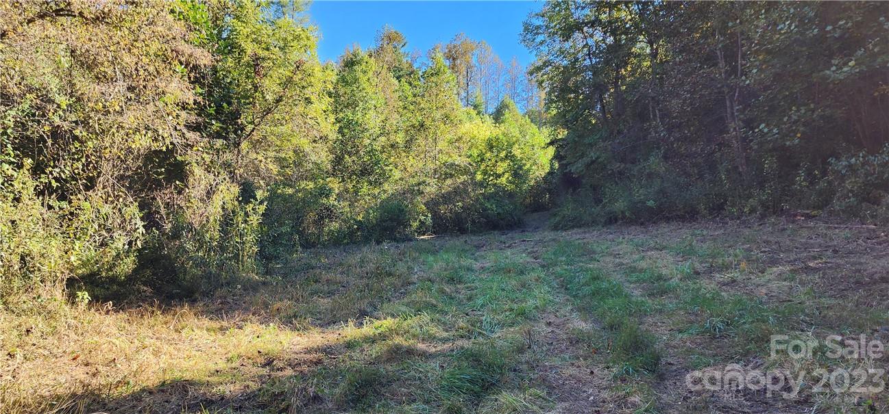 201 Clifford Fowler Road Hot Springs, NC 28743 - Photo 33 of 47 a view of a yard with large trees
