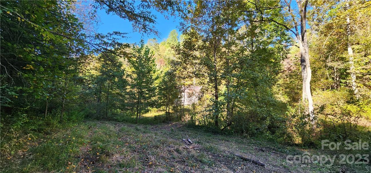 201 Clifford Fowler Road Hot Springs, NC 28743 - Photo 35 of 47 a view of a forest with trees in the background