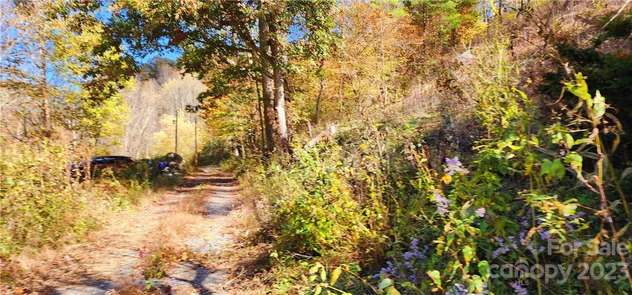 201 Clifford Fowler Road Hot Springs, NC 28743 - Photo 36 of 47 a view of outdoor space with a tree