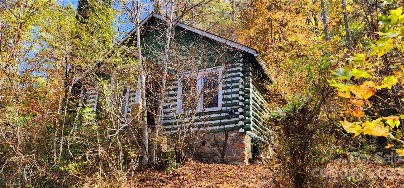 201 Clifford Fowler Road Hot Springs, NC 28743 - Photo 5 of 47 a view of balcony with a tree