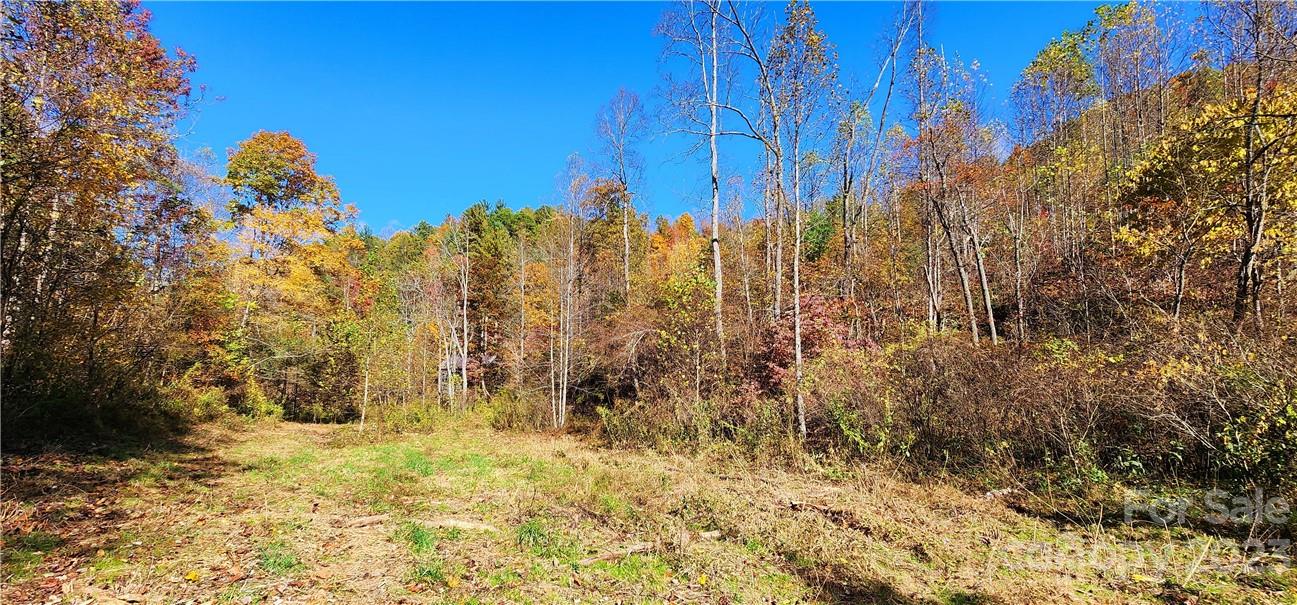 201 Clifford Fowler Road Hot Springs, NC 28743 - Photo 9 of 47 a view of a yard with trees