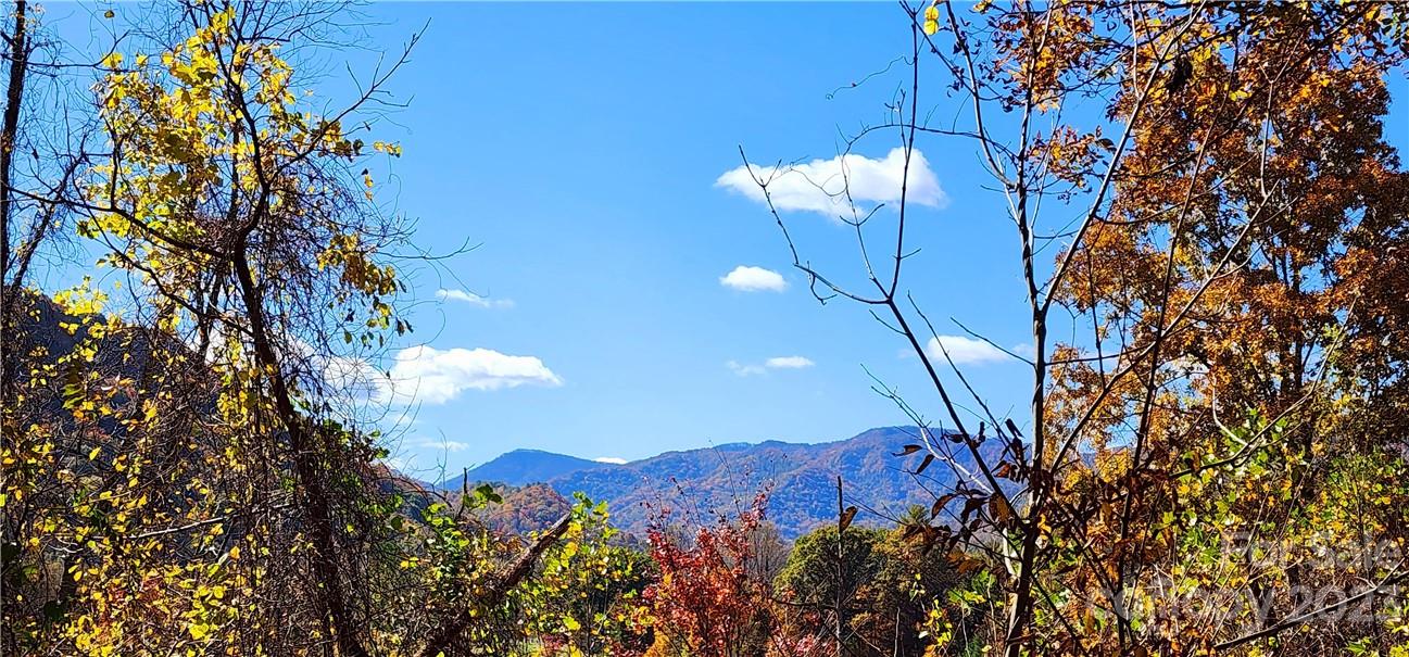 201 Clifford Fowler Road Hot Springs, NC 28743 - Photo 10 of 47 a view of a building with a tree