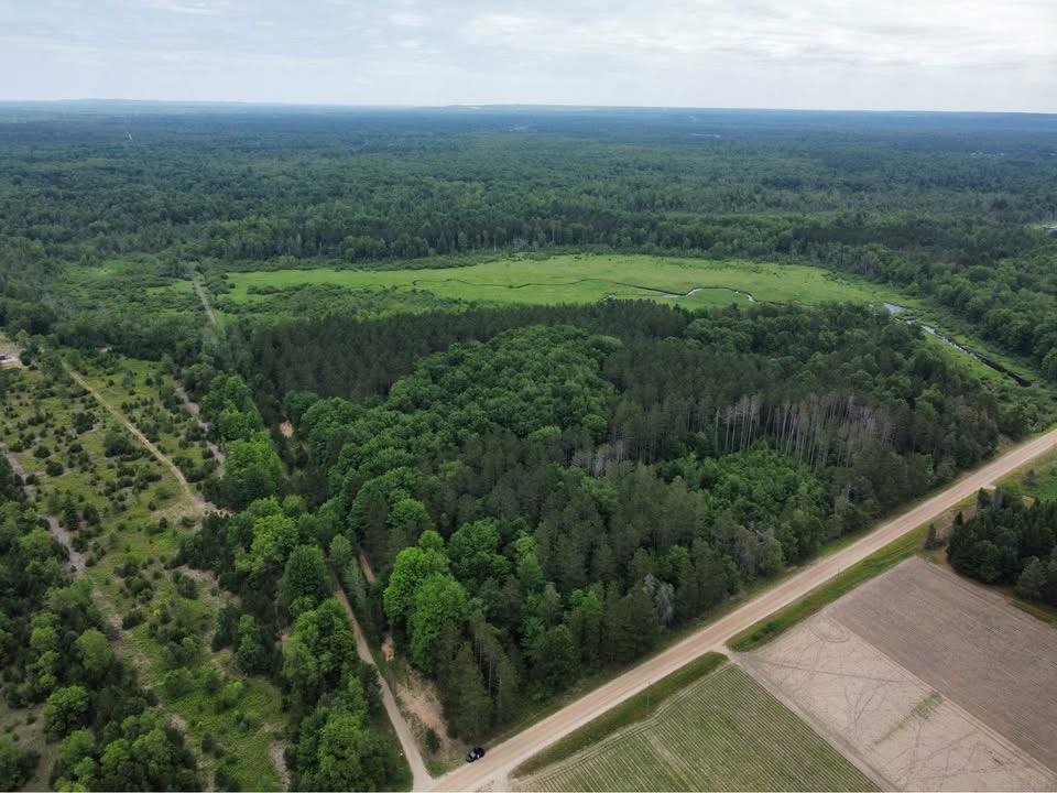 0 Makinen Road Kaleva, MI 49645 - Photo 25 of 25