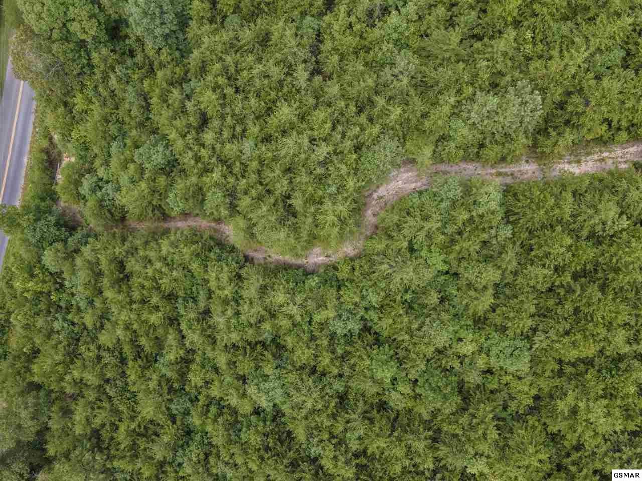43 Sharp Road Sevierville, TN 37876 - Photo 10 of 24 a view of a forest with a tree