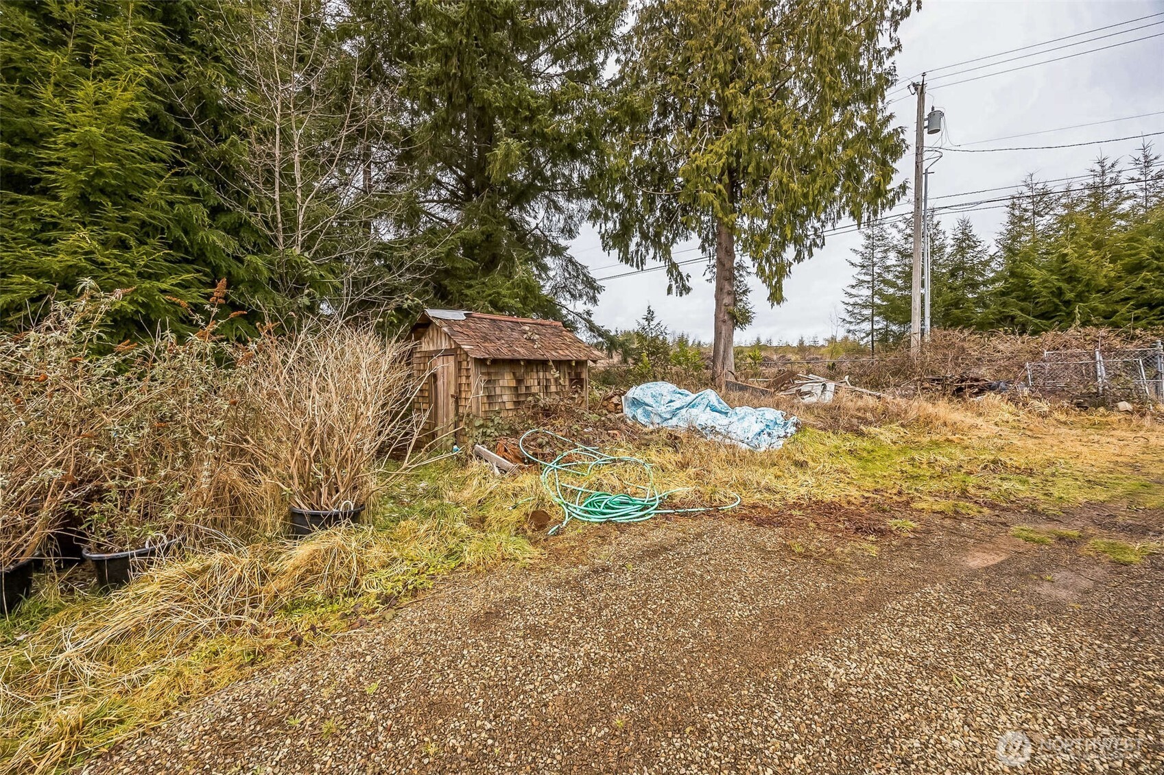 184 Copalis Beach Road Copalis Beach, WA 98535 - Photo 26 of 29 Gallery Image 26