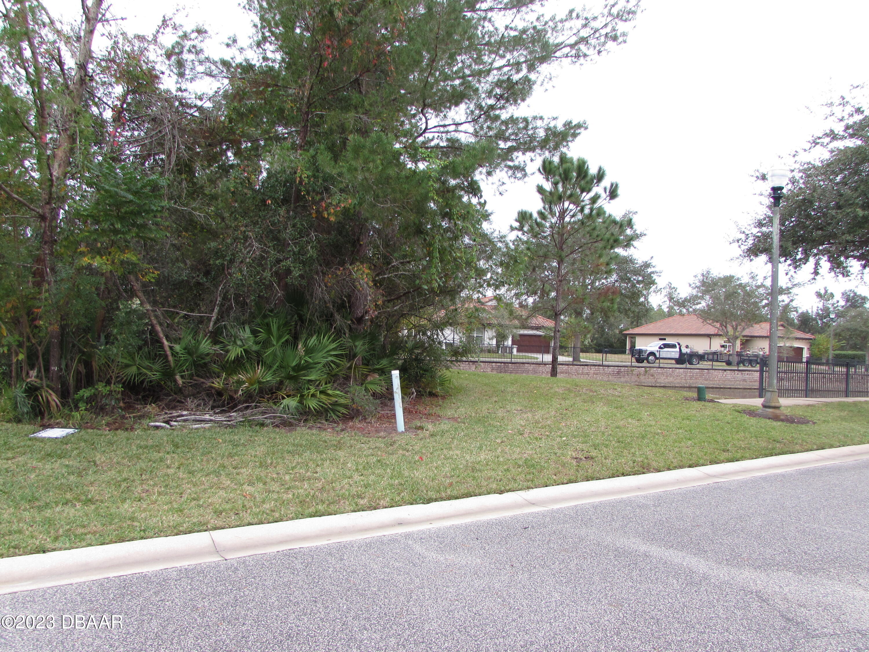 62 Apian Way Ormond Beach, FL 32174 - Photo 3 of 11 a view of a park that has a large tree