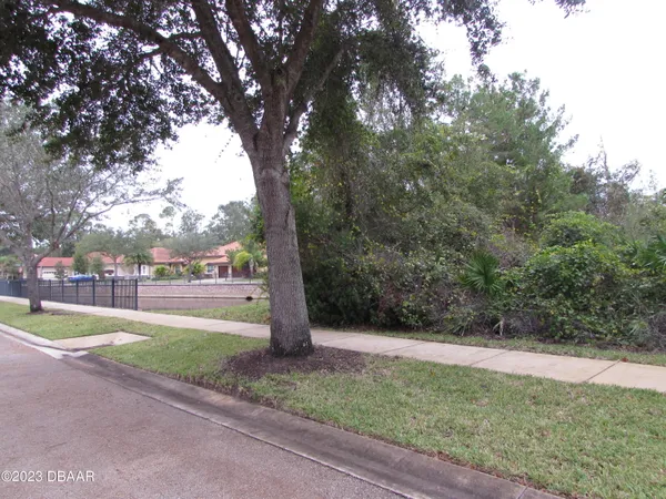 a view of a park with large trees