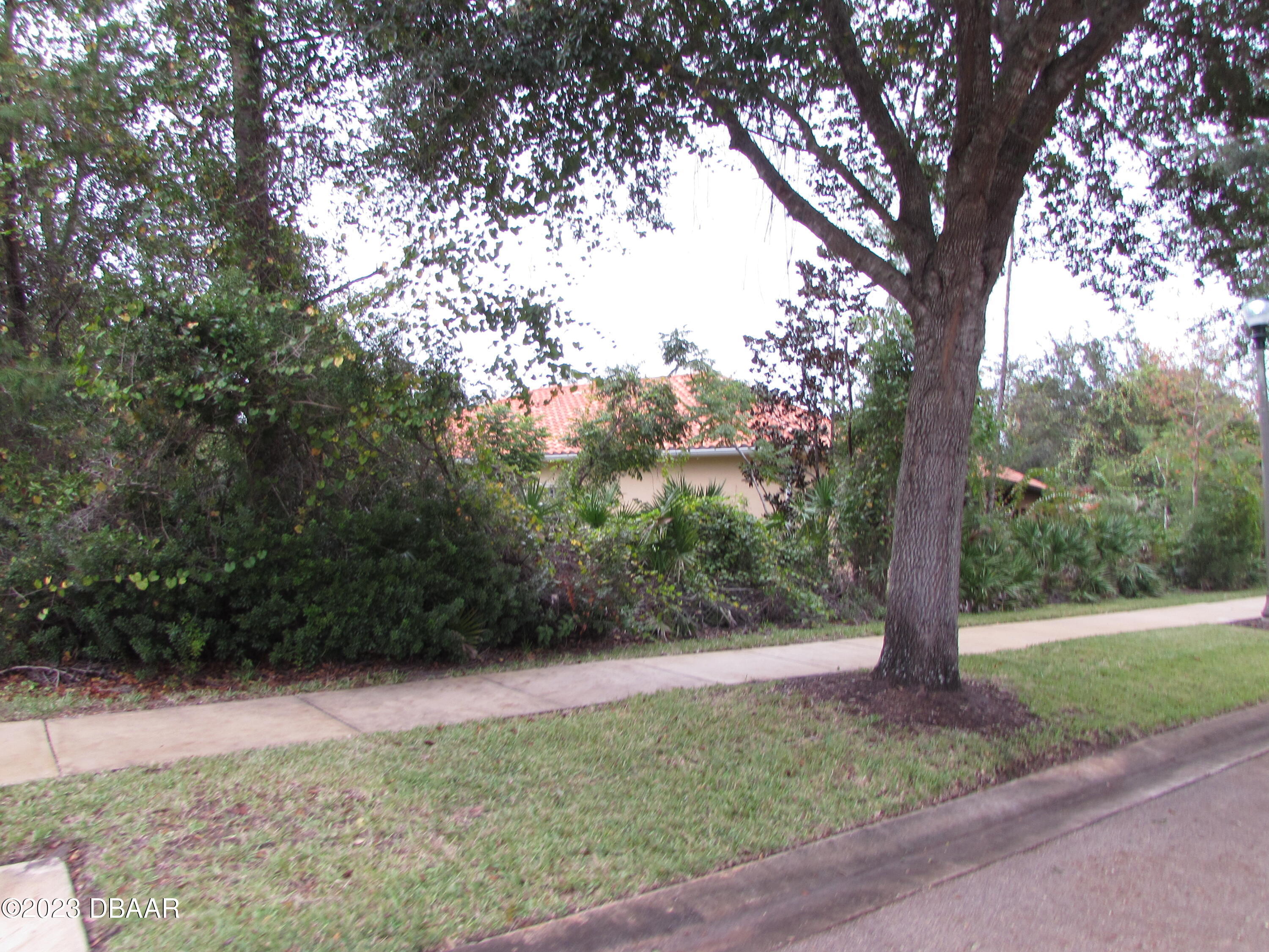 62 Apian Way Ormond Beach, FL 32174 - Photo 9 of 11 a view of a yard with a tree