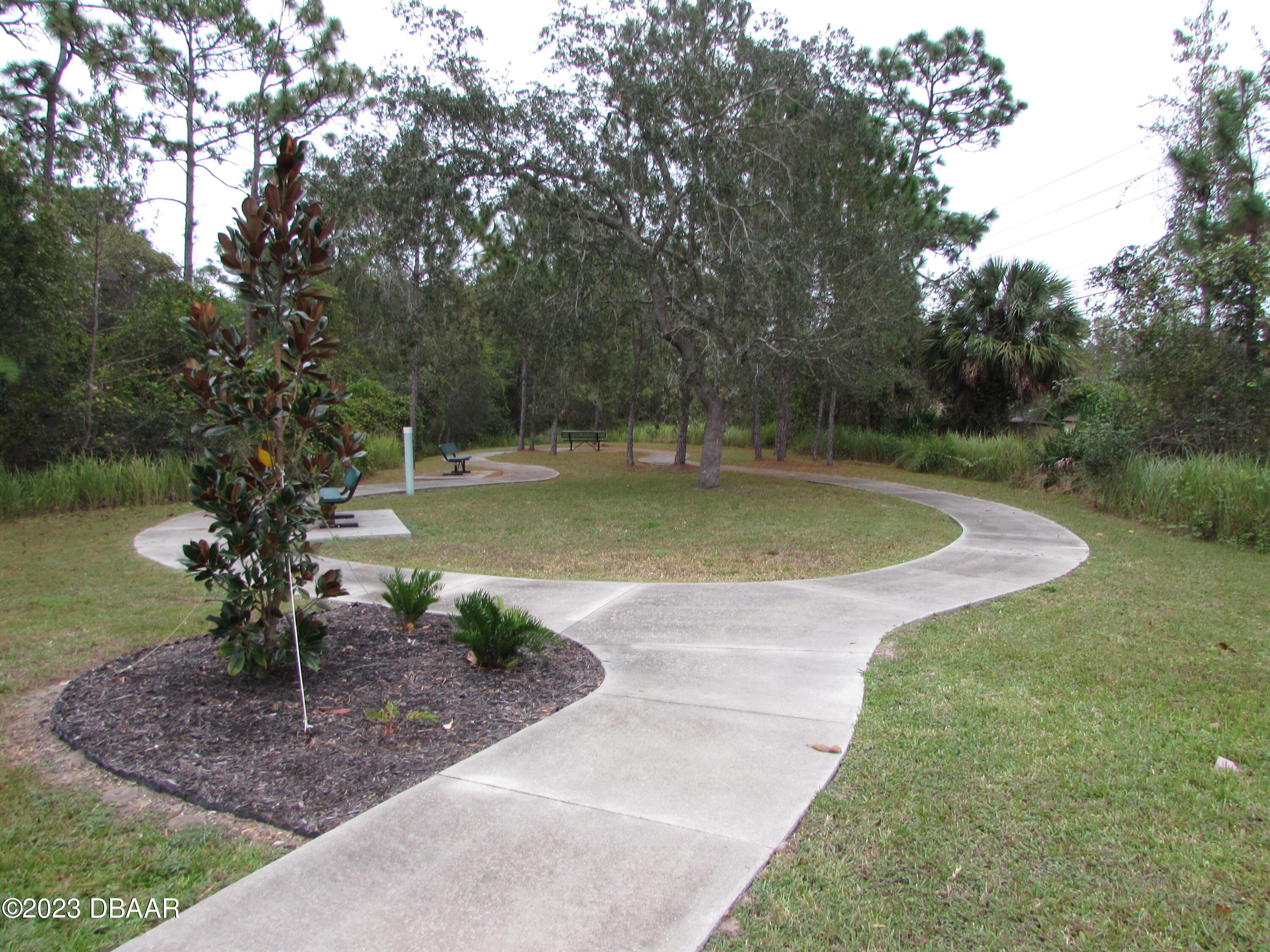 62 Apian Way Ormond Beach, FL 32174 - Photo 10 of 11 a view of a swimming pool with a yard