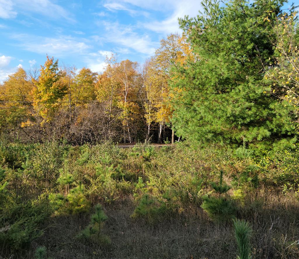 1 Gibraltar Road Fish Creek, WI 54212 - Photo 1 of 8