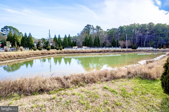 $539,900 | 30647 Lednum Drive, Frankford, DE 19945