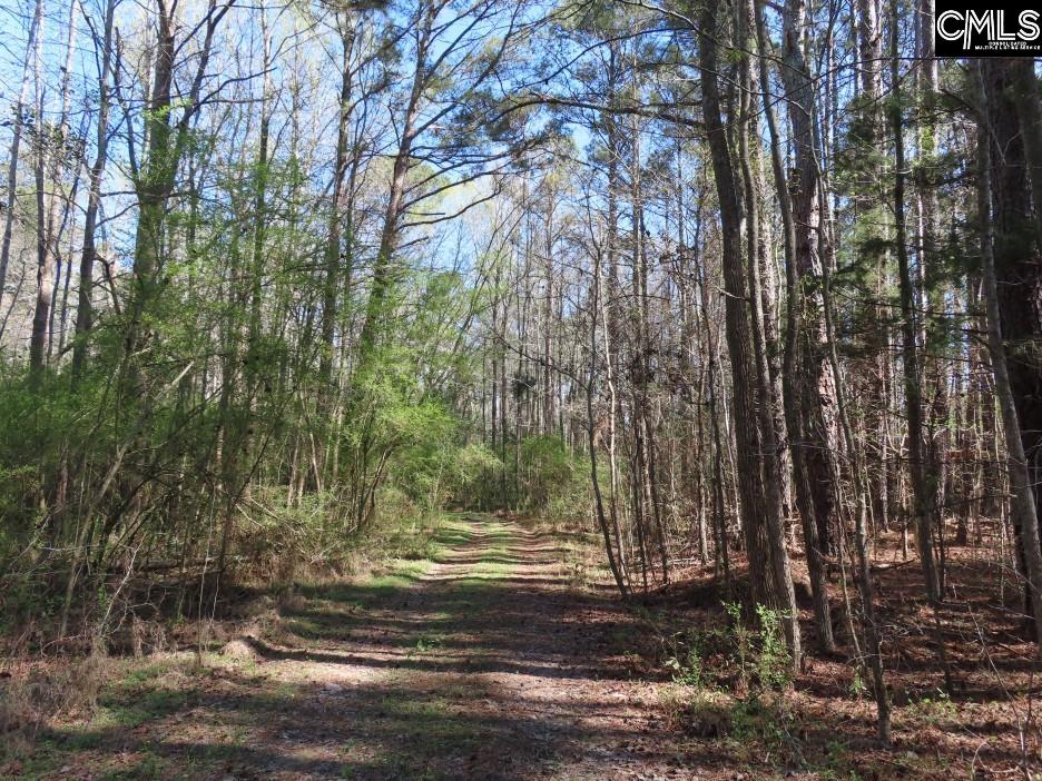 1672 Dixired Road Leesville, SC 29070 - Photo 26 of 67