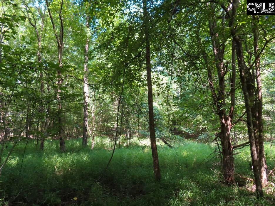 0 Landis Road Winnsboro, SC 29180 - Photo 52 of 83 Gallery Image 52