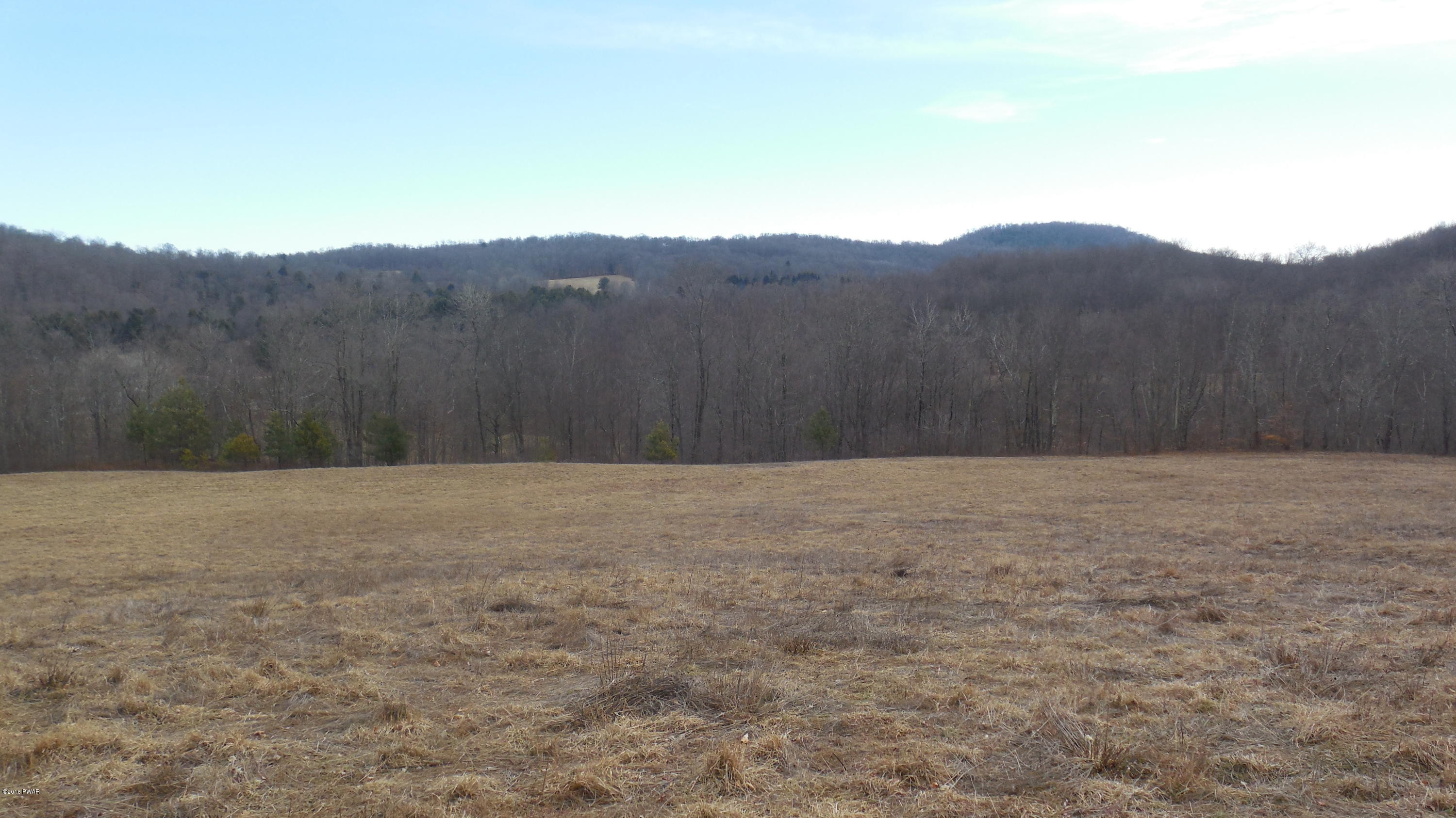 352 Hellmers Hill Road Equinunk, PA 18417 - Photo 8 of 34
