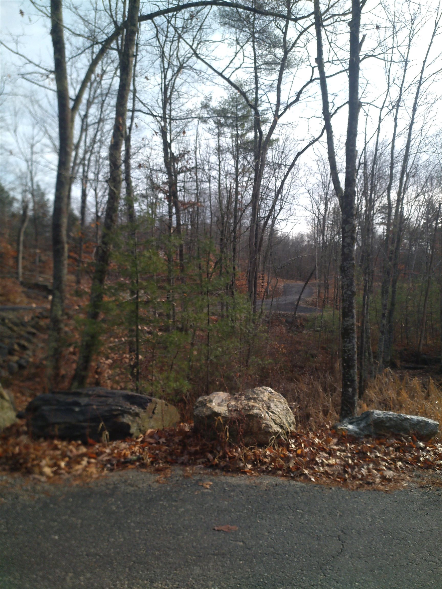 80 Castle Rock Road, Unit 64 Barrington, NH 03825 - Photo 6 of 11