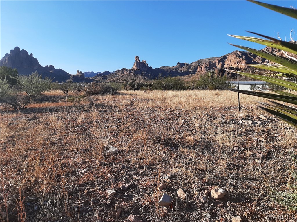 2162 Dewey Road Golden Valley, AZ 86413 - Photo 57 of 66