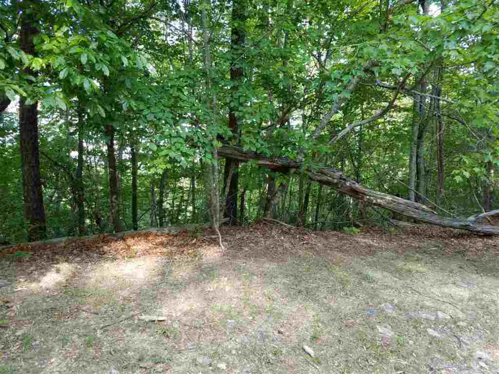 602 Whispering Falls Road, Unit LOT 39 ROCK OF JOCASSEE Pickens, SC 29671 - Photo 4 of 13 Gallery Image 4