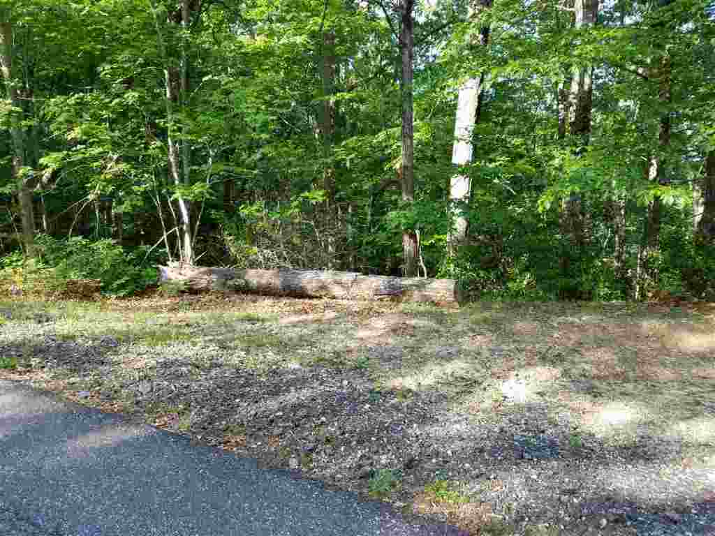 602 Whispering Falls Road, Unit LOT 39 ROCK OF JOCASSEE Pickens, SC 29671 - Photo 6 of 13 Gallery Image 6