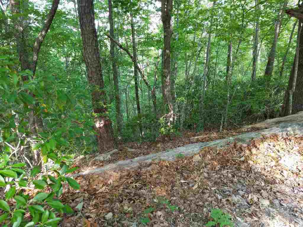 602 Whispering Falls Road, Unit LOT 39 ROCK OF JOCASSEE Pickens, SC 29671 - Photo 8 of 13 Gallery Image 8