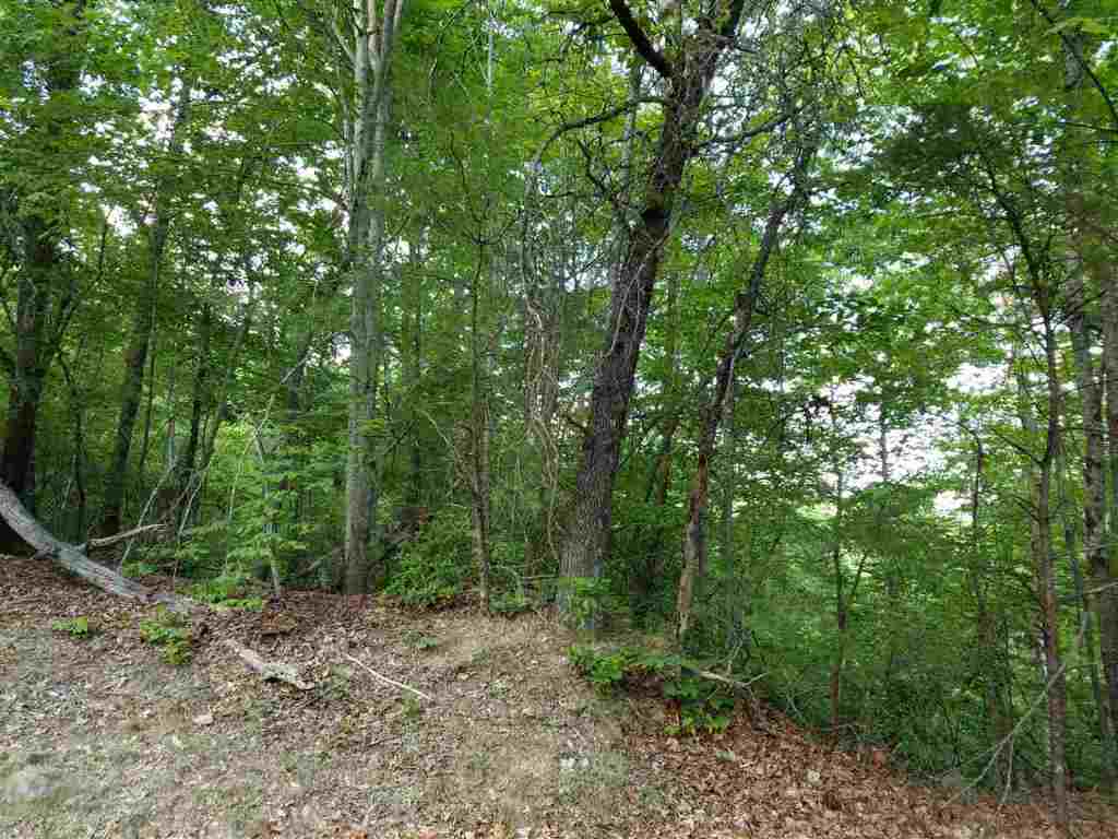 602 Whispering Falls Road, Unit LOT 39 ROCK OF JOCASSEE Pickens, SC 29671 - Photo 9 of 13 Gallery Image 9