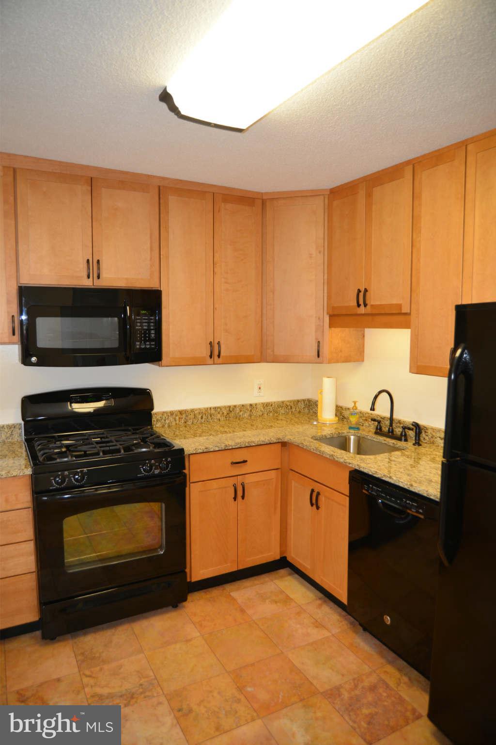 1121 University Boulevard West, Unit 1014B Silver Spring, MD 20902 - Photo 2 of 8 Kitchen