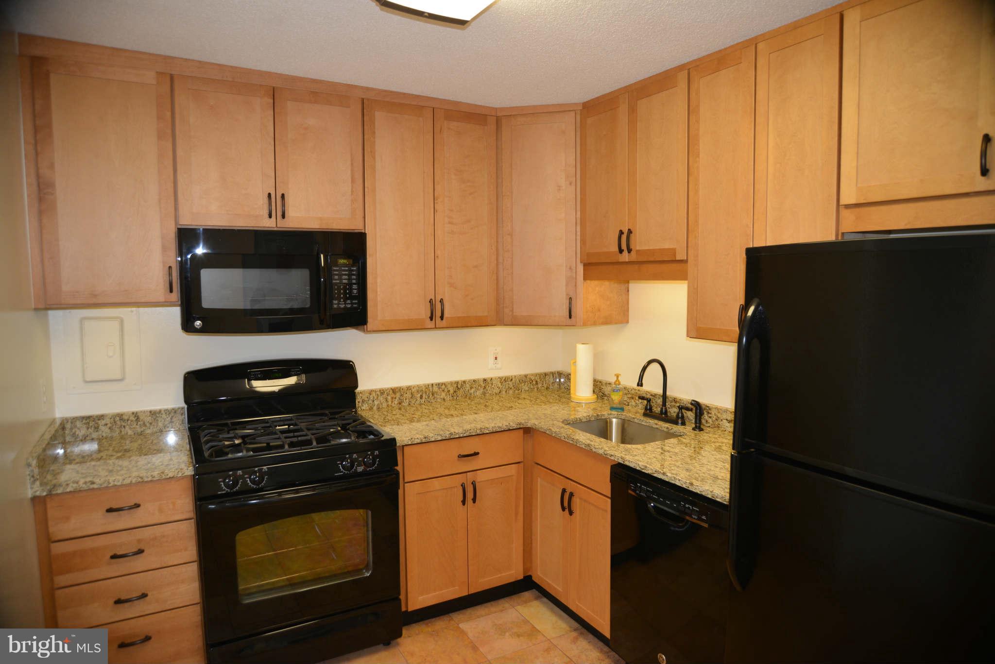 1121 University Boulevard West, Unit 1014B Silver Spring, MD 20902 - Photo 3 of 8 Kitchen