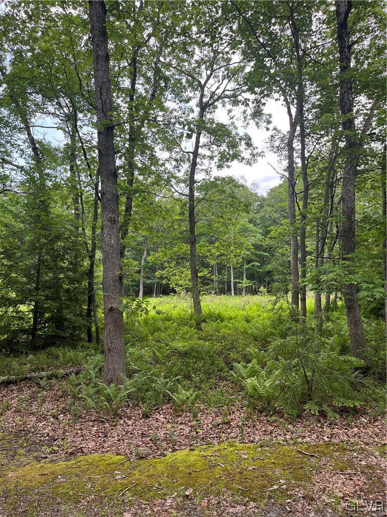 H567 Cross Run Road Jim Thorpe, PA 18229 - Photo 2 of 3 Gallery Image 2
