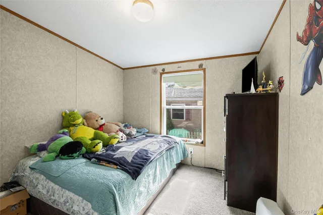 a room with lots of books and a couch