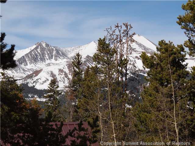 166 Fuller Placer Road, Unit 2 Breckenridge, CO 80424 - Photo 11 of 20 View.