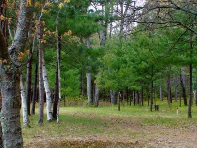 Lot 14 Selmer Road Tomahawk, WI 54487 - Photo 8 of 12 Gallery Image 8
