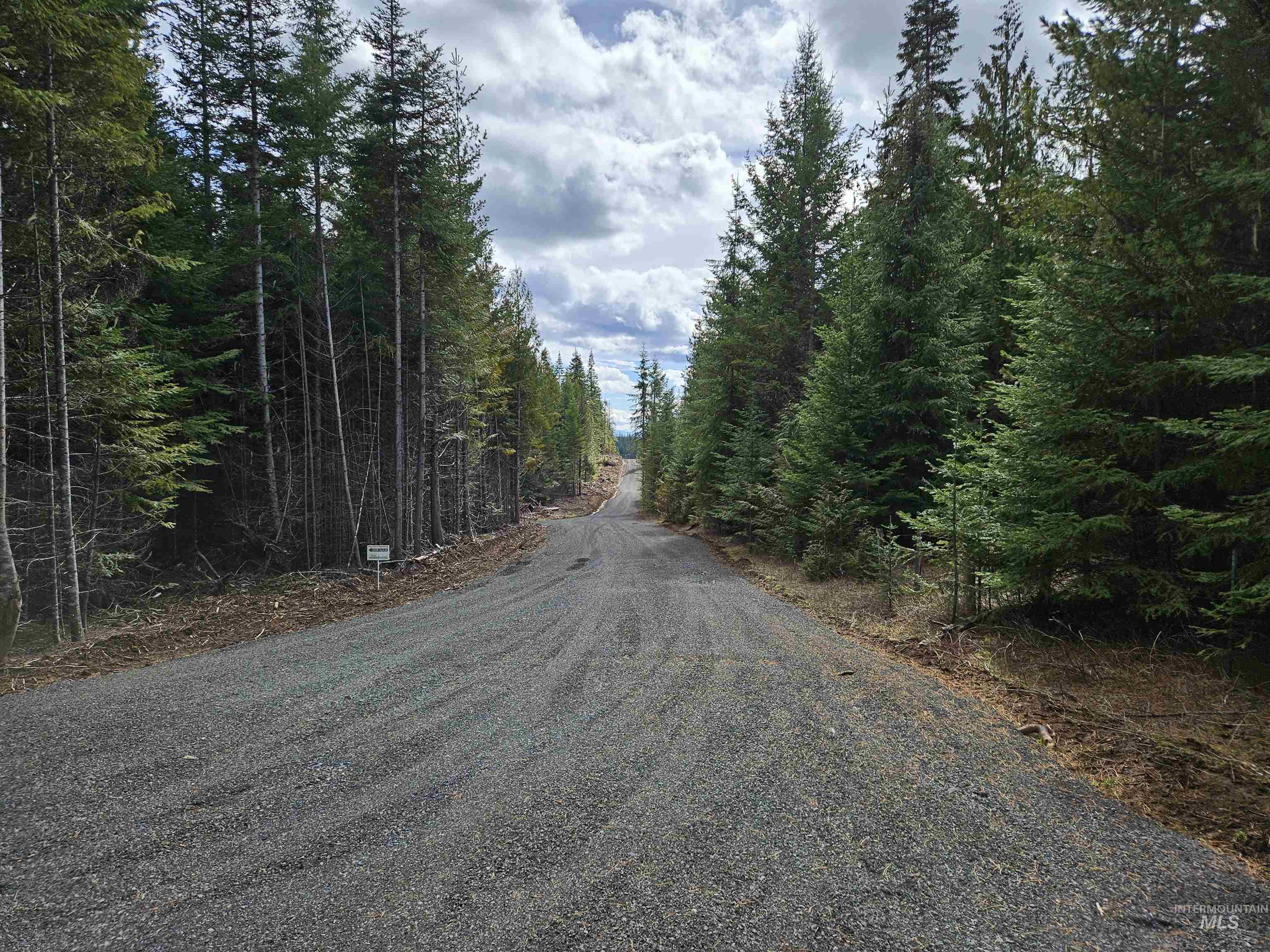 Tbd Lot 11 Tbd Lane Weippe, ID 83553 - Photo 1 of 29