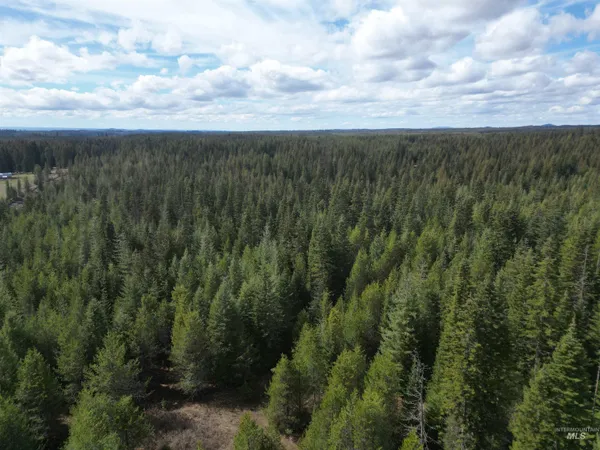 $100,000 | Tbd Lot 11 Tbd Lane, Weippe, ID 83553