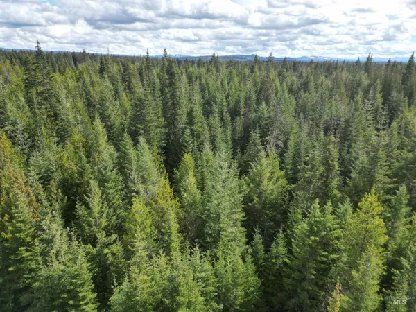 $100,000 | Tbd Lot 11 Tbd Lane, Weippe, ID 83553