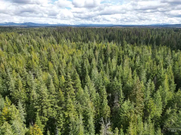 $100,000 | Tbd Lot 11 Tbd Lane, Weippe, ID 83553