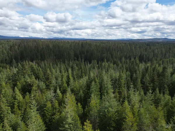 $100,000 | Tbd Lot 11 Tbd Lane, Weippe, ID 83553
