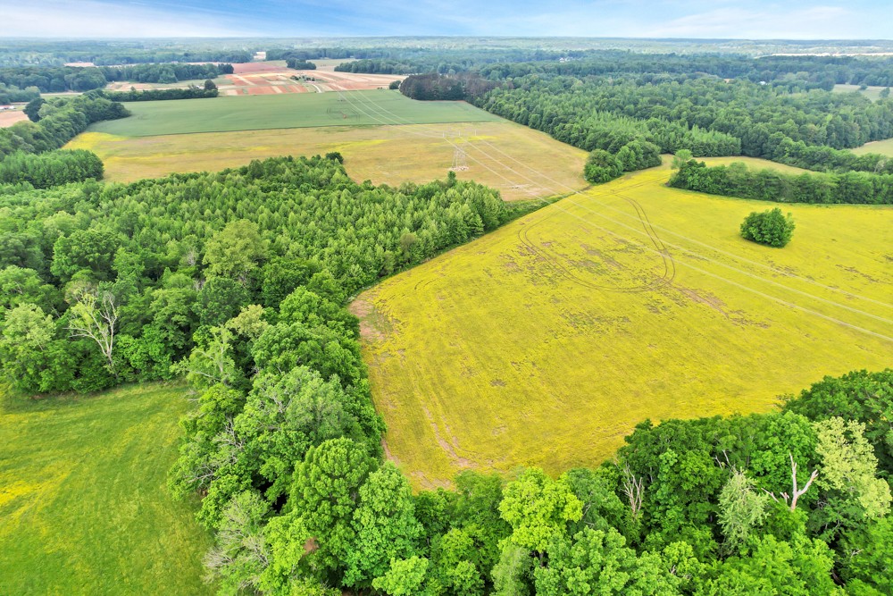 0 Prairie Plains Road Hillsboro, TN 37342 - Photo 17 of 24 Gallery Image 17