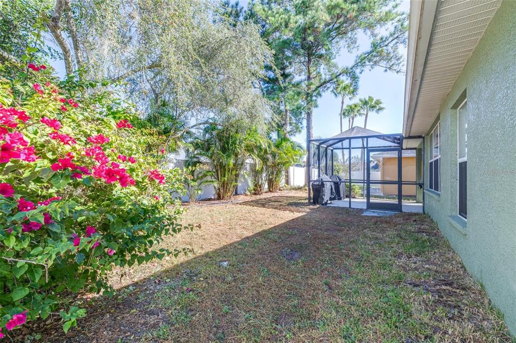 16641 Fairbolt Way Odessa, FL 33556 - Photo 35 of 53