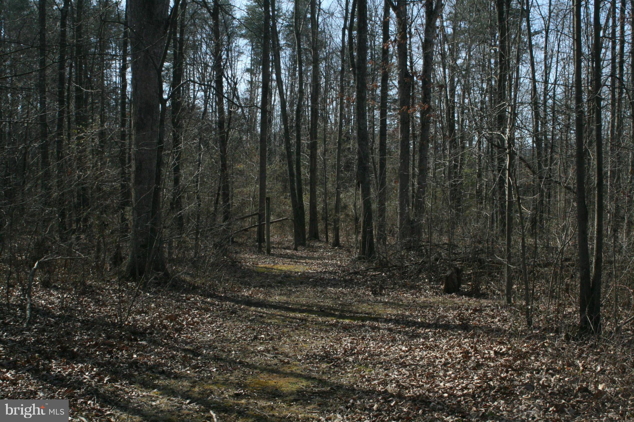 0 St Paul's Road Bealeton, VA 22712 - Photo 2 of 18 View