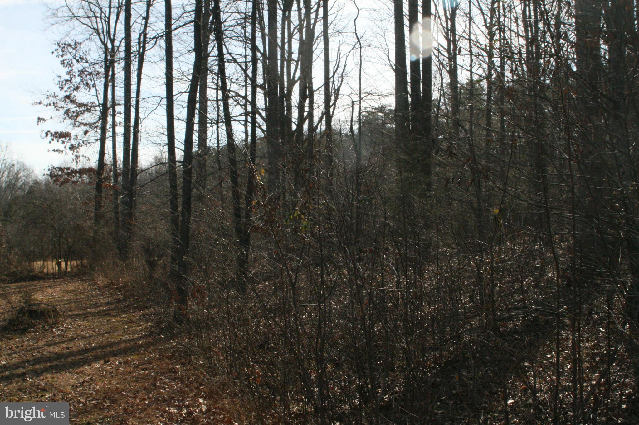 0 St Paul's Road Bealeton, VA 22712 - Photo 3 of 18 View
